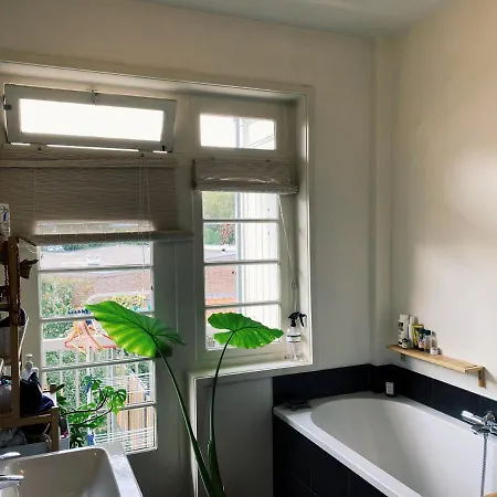 Appartement Lovely & Spacious In 'old-south' Area