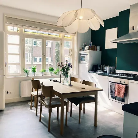 Lovely & Spacious In 'old-south' Area Appartement